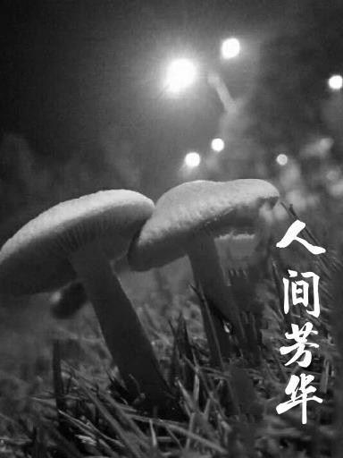 下山即无敌完整版